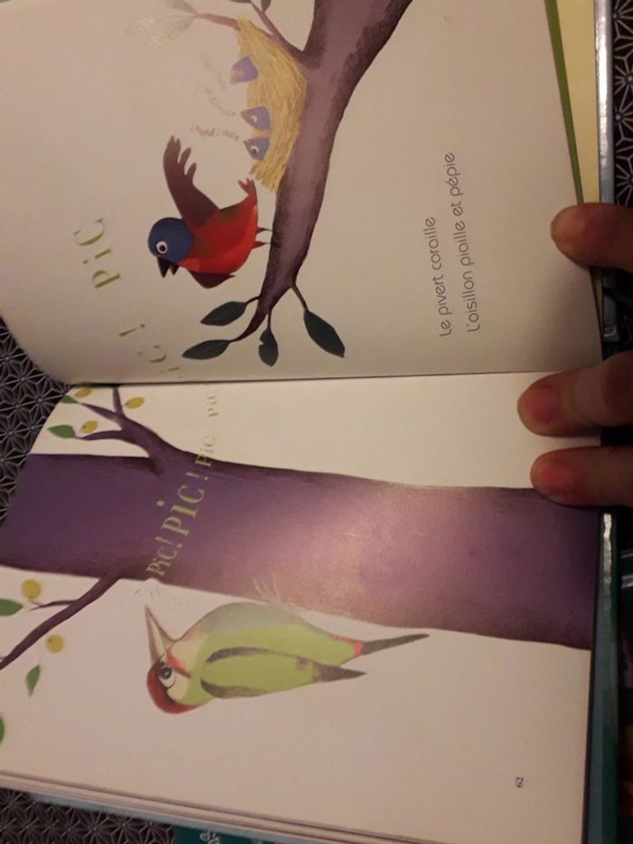 livre sur les sons - photo numéro 2