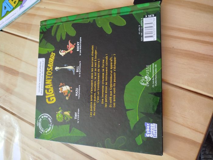 La grande crevasse - photo numéro 2