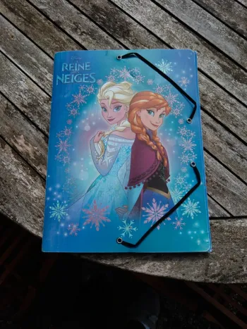 Pochette élastique reine des neiges