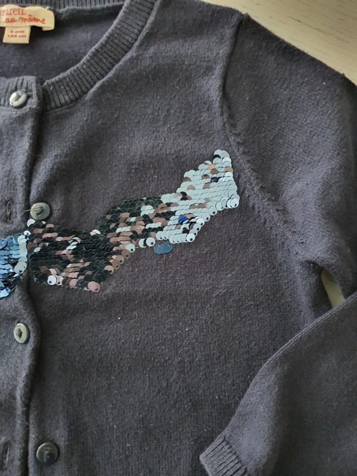 Gilet dpam 4 ans - photo numéro 2