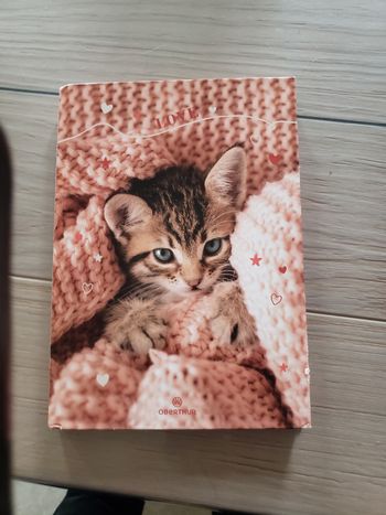 Cahier texte chaton