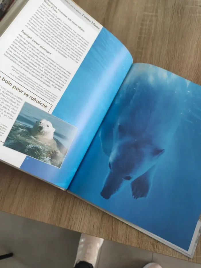 Livre édition atlas l'ours blanc - photo numéro 4