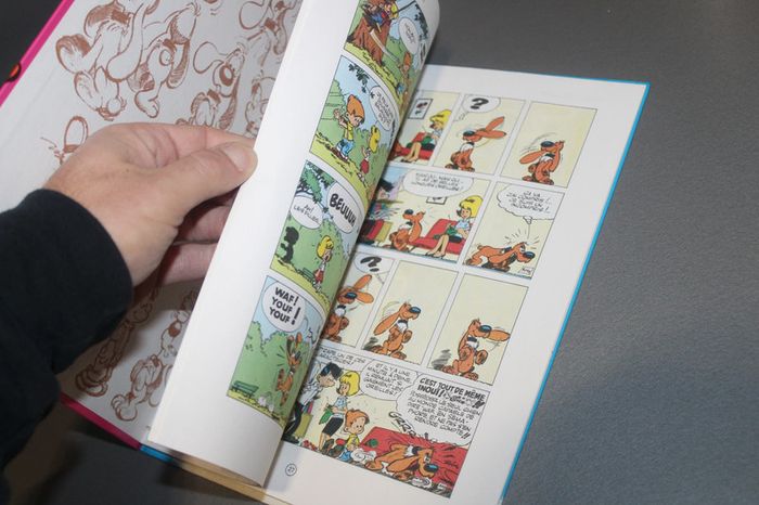 Livre Boule et Bill Souvenirs de famille - photo numéro 3