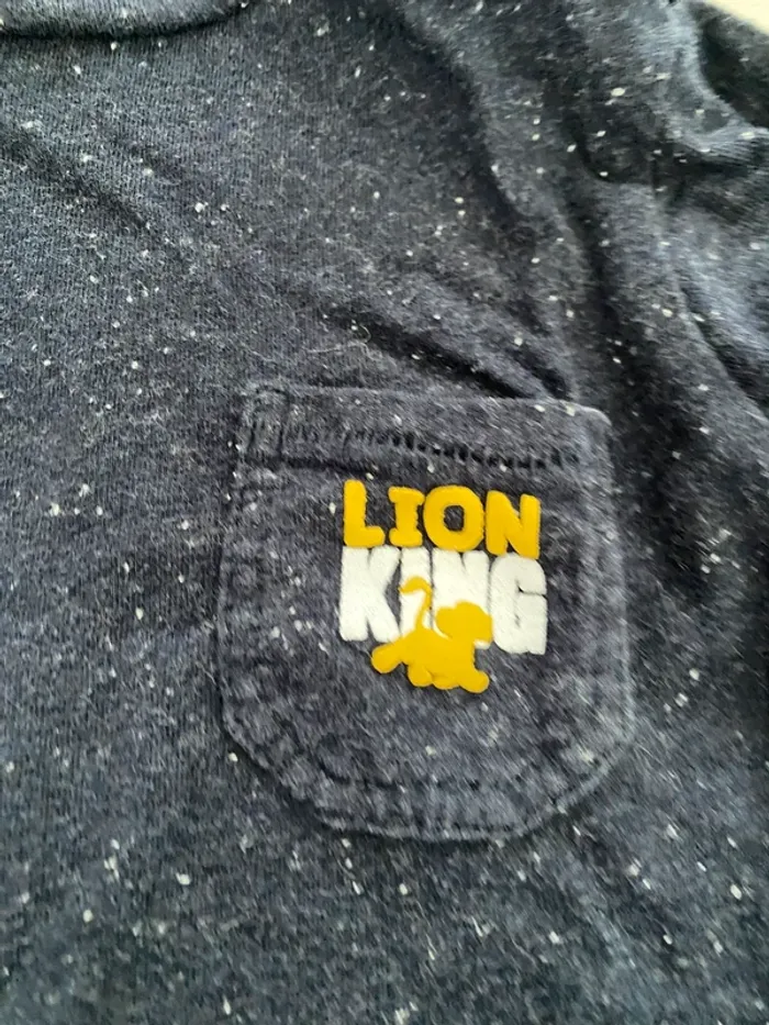 Ensemble Disney Roi Lion 2 ans - photo numéro 4