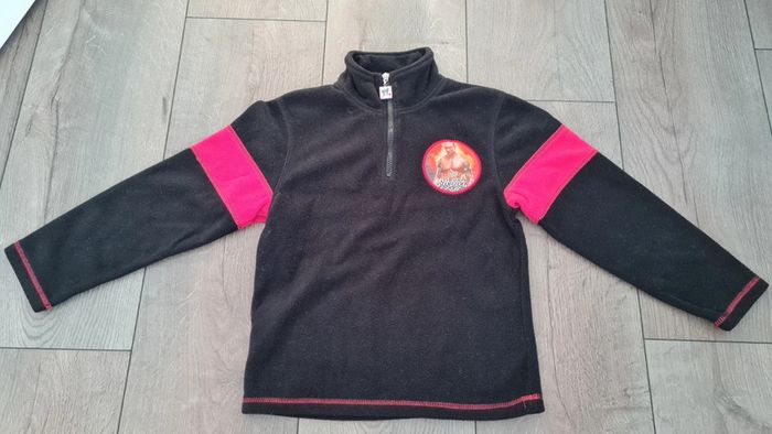 Polaire World Wrestling Entertainment 10 ans