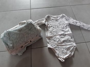 Lot de 9 bodies manches longues taille 36 mois