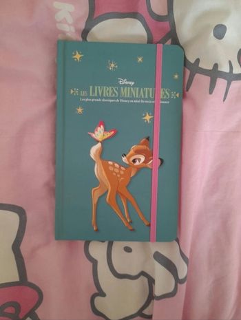 Carnet de note disney