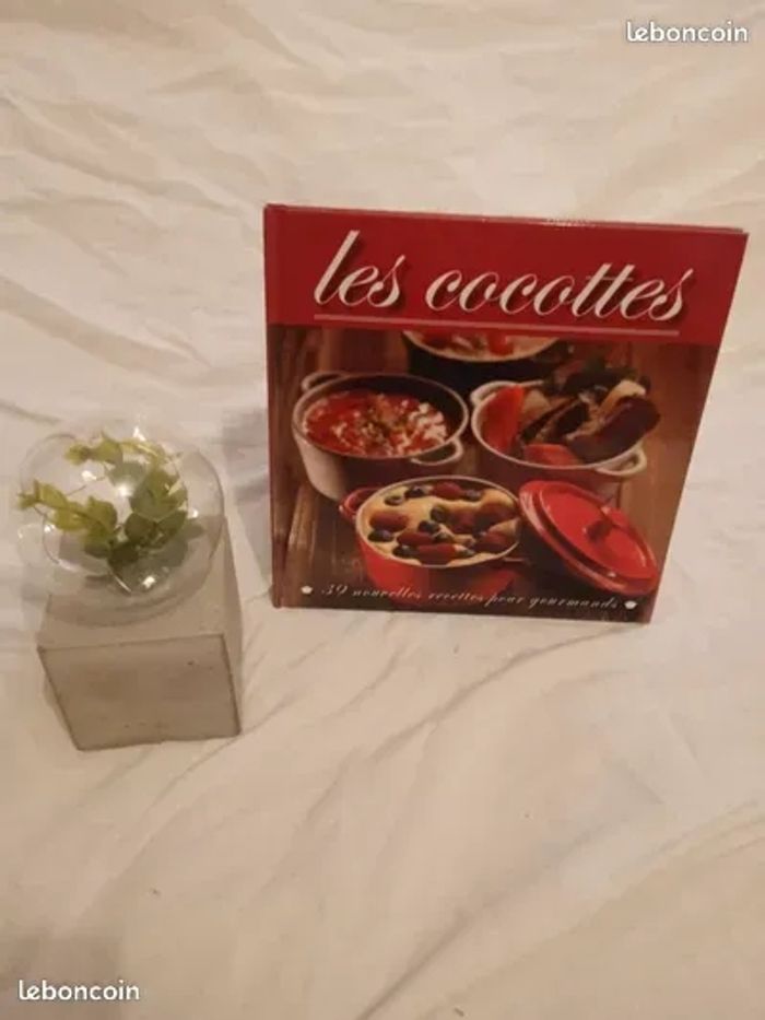 Livre de recettes Les cocottes