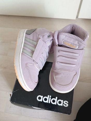 Basket adidas t26 lila