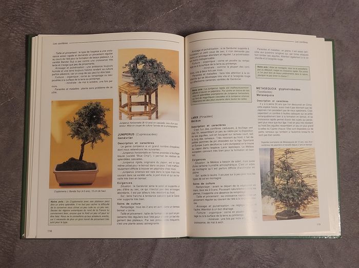 Réussir son bonsaï - Conseils pratiques Jean-Daniel Nessmann - photo numéro 5