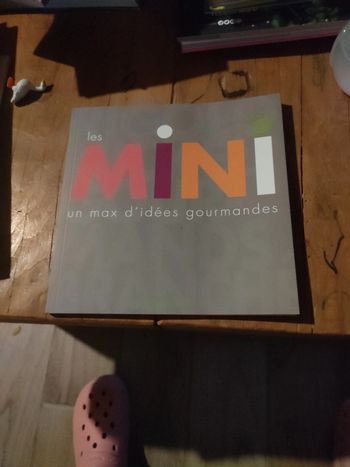 Livre tupperware les minis un max d idées gourmandes