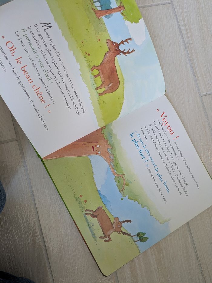 Livre la forêt - photo numéro 4