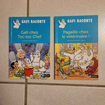 Lot de 2 livres gafi raconte 