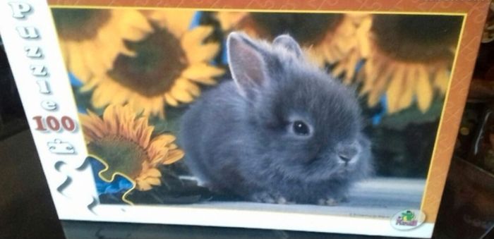 Puzzle vintage petit lapin 🐰 et tournesols 🌻 100 pièces Playland - photo numéro 2
