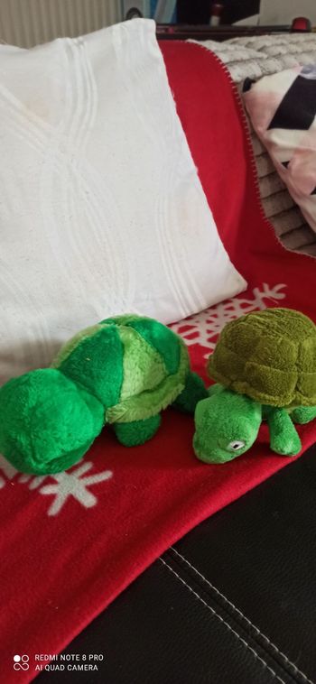 2 peluches tortue
