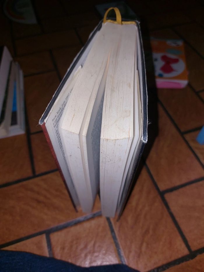 L'ange des ténèbres - Caleb Carr - photo numéro 5