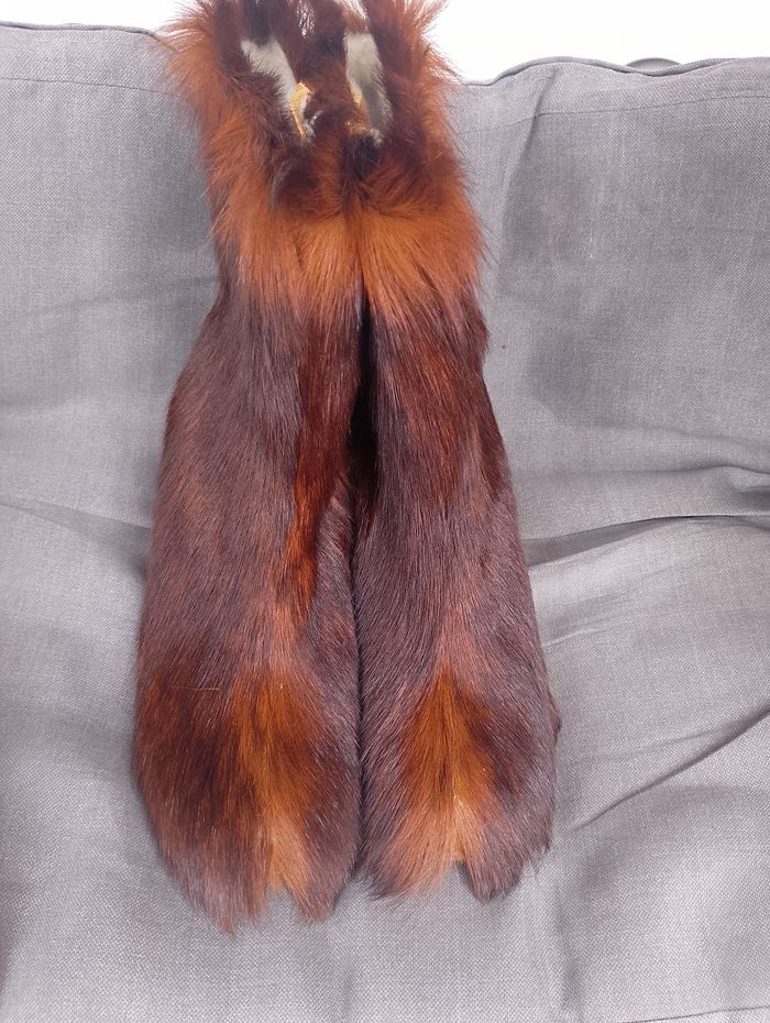 Bottine - photo numéro 5