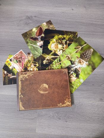 Le rat à la plume - le rat conteur d'histoires 2015