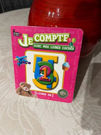 Livre je compte avec mes livres cachés