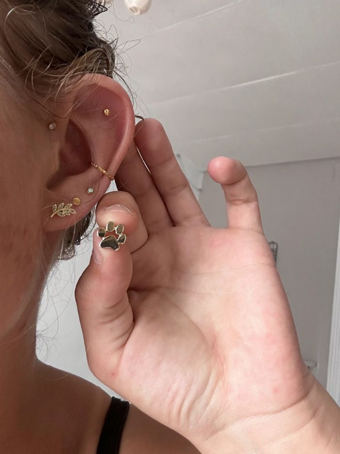 Bo patte de chat - photo numéro 7