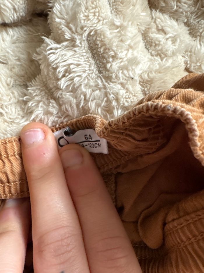 Cargo - photo numéro 2