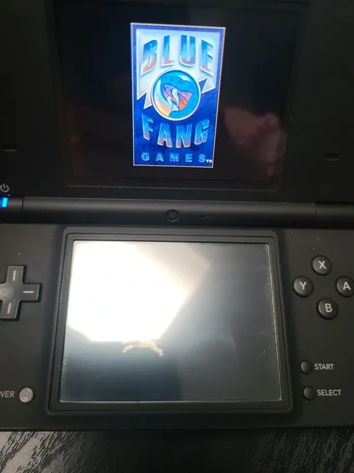Jeux DS - photo numéro 8