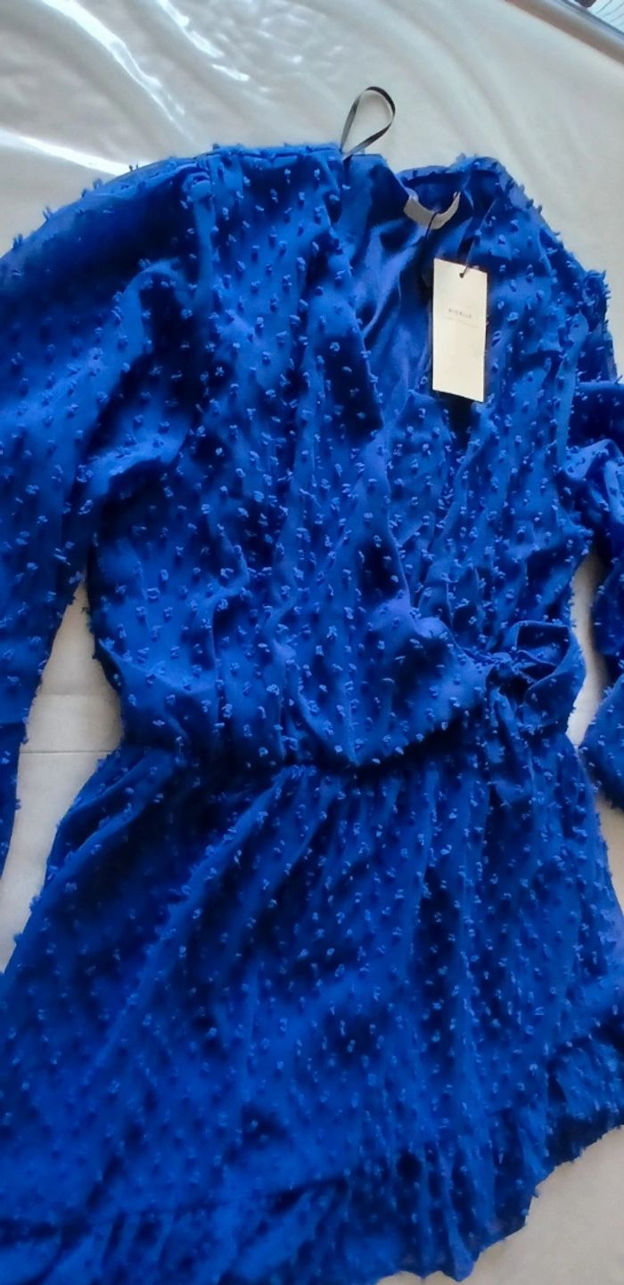 Robe bleue - photo numéro 2