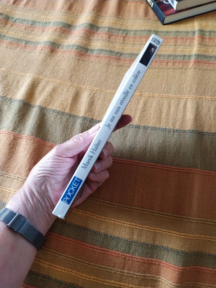 Je me suis réveillé en colère de Marek Halter - photo numéro 3