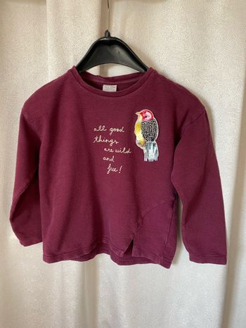 Pull sweat fille Bordeaux oiseau 8 ans Zara kids
