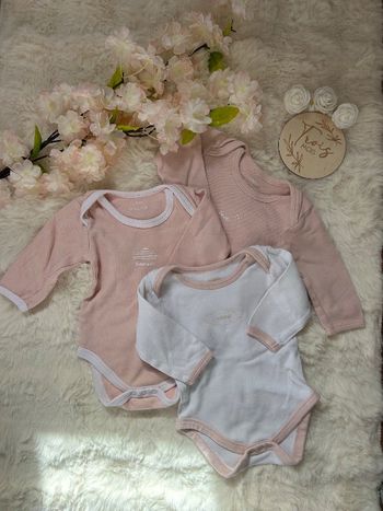Lot de 3 bodies