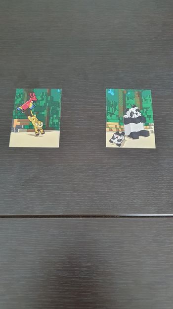 2 cartes Minecraft Jungle 1 et 3