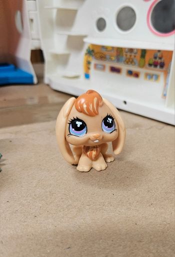 Pet shop rare lapin 480
