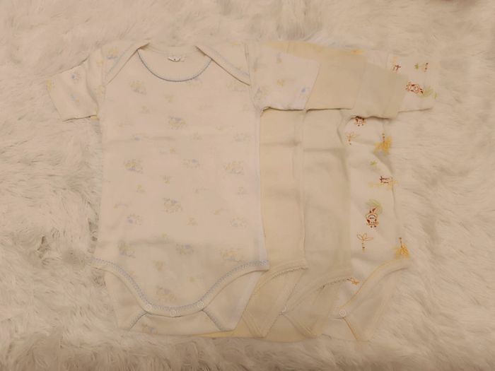 Lot 4 bodies manches courtes T. 12 mois Absorba - photo numéro 2