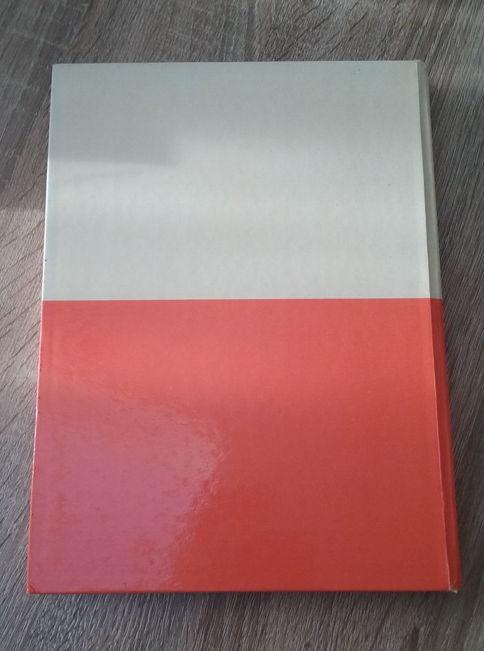 Livre "Le monde enchanté de Walt Disney" 1974 - photo numéro 7