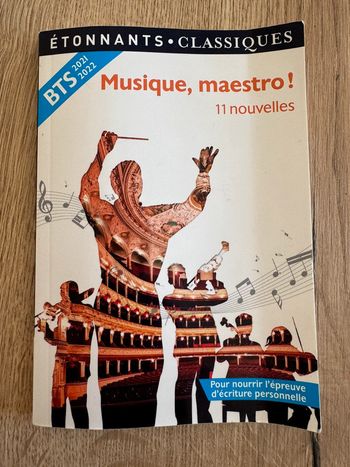 Livre musique, maestro ! Flammarion très bon état