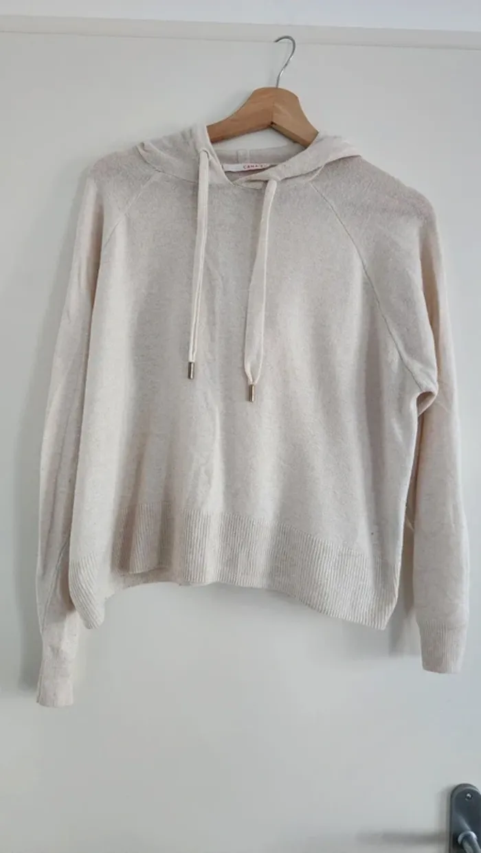 Sweat à capuche