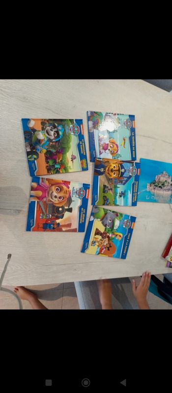 Livres pat patrouille