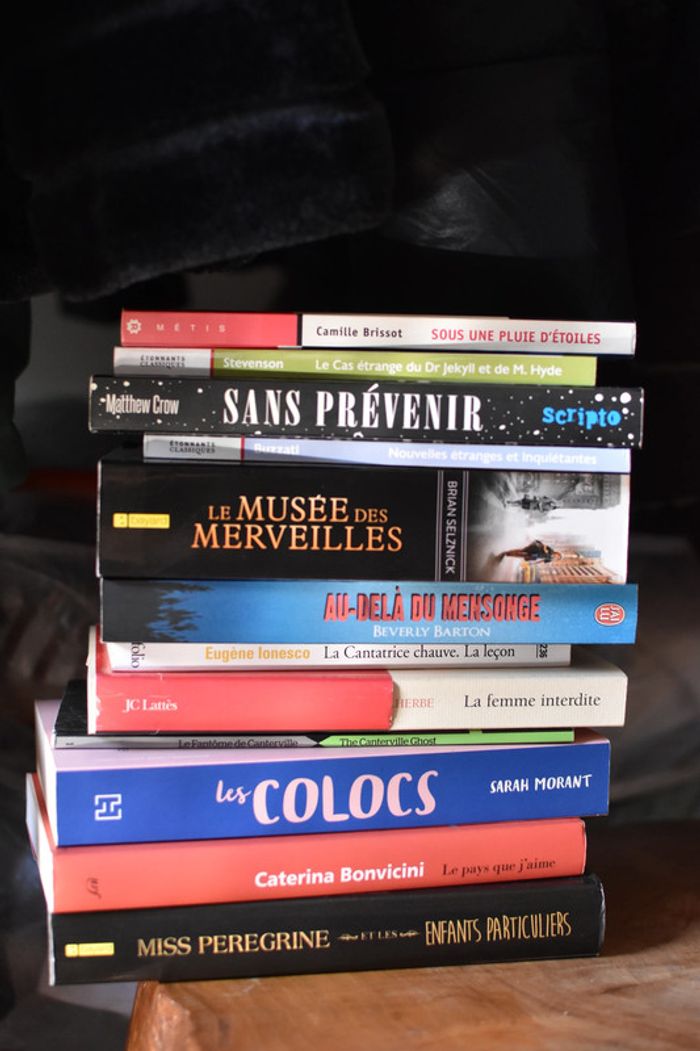 13 livres + 1 DVD Bridget Jones
