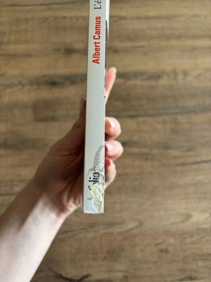 Livre L’Étranger – Albert Camus - photo numéro 3