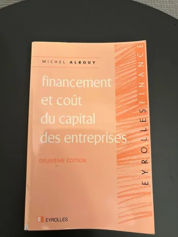 Introuvable sur Vinted ! financement et coût du capital des entreprises