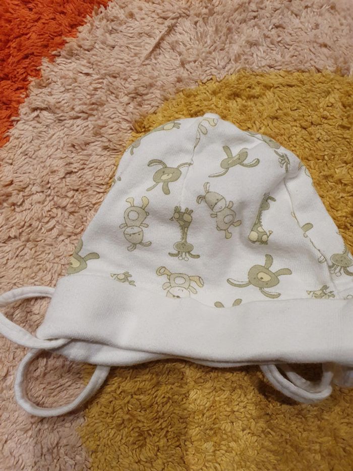 bonnets - photo numéro 3