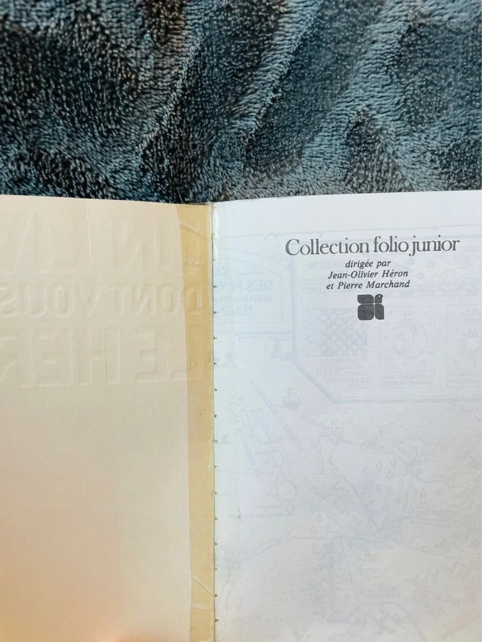 Livre dont vous êtes le héros le loup solitaire la traversée infernale V1 - photo numéro 13