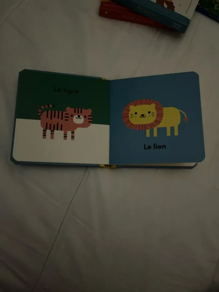 Livre - photo numéro 4