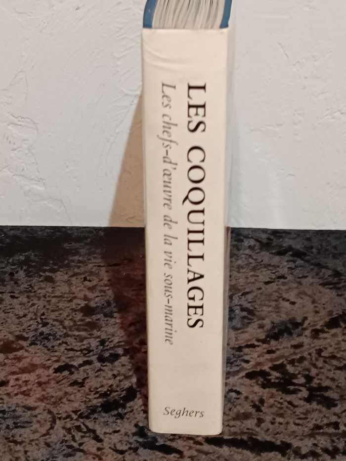 Les coquillages - photo numéro 4