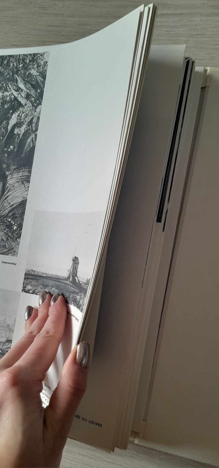 Deux volumes le musée du Louvre René Huyghe peinture dessins - photo numéro 3