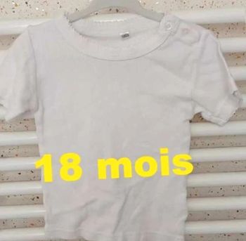 Tee shirt  manche  courte  côtelé blanc Taille  18  mois