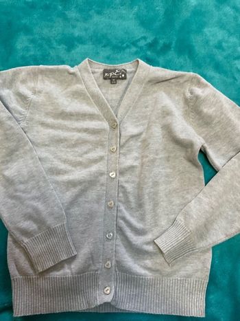 gilet gris FPC  tbe 10 ans