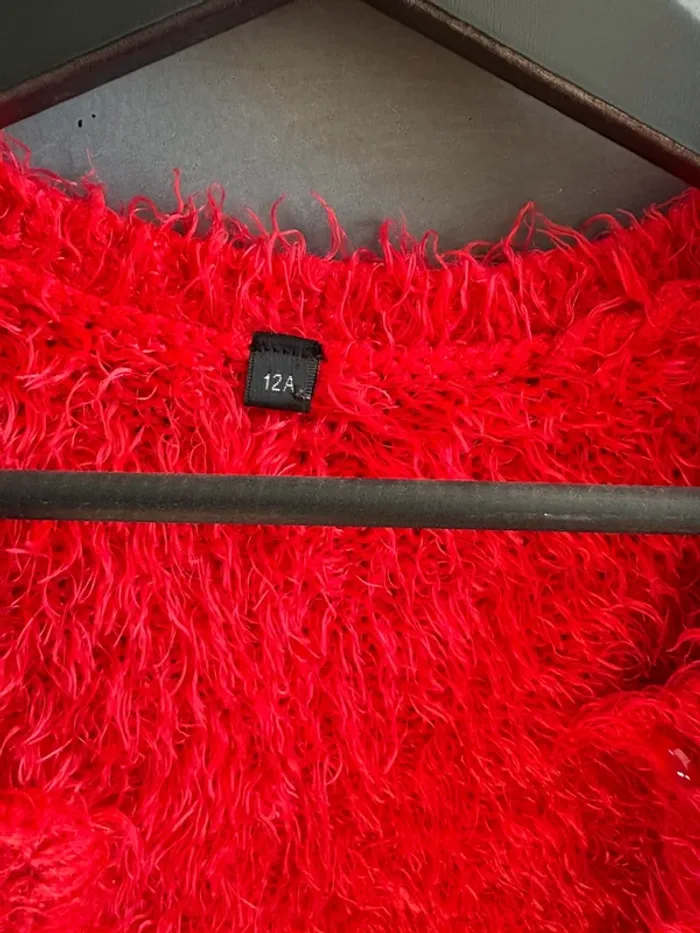 Gilet rouge 12 ans - photo numéro 2