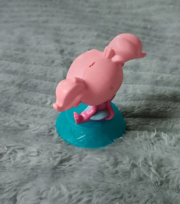 Petshop singe macdonald - photo numéro 3