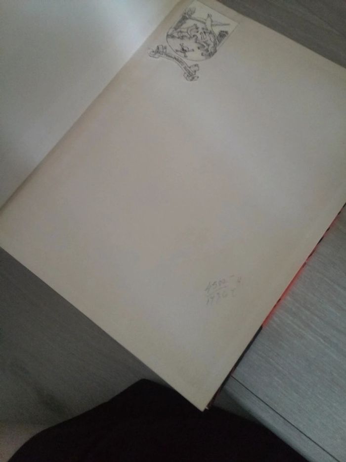 Livre Le miroir de la magie - photo numéro 15